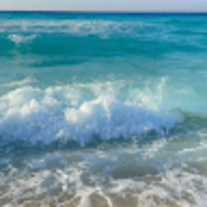 Meet your Posher, Autumn